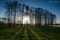 019_Biebrza - kwiecien 2012